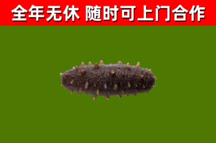 太康县烟酒回收干海参.jpg